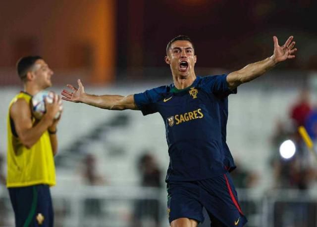 欧美最猛性xxxxx免费
